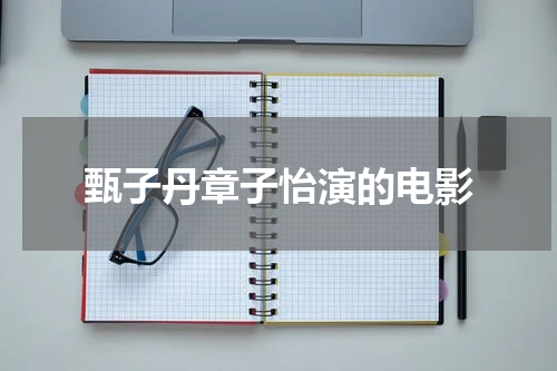 甄子丹章子怡演的电影
