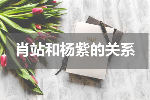 肖站和杨紫的关系