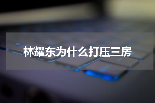 林耀东为什么打压三房