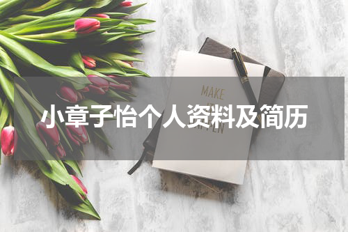 小章子怡个人资料及简历