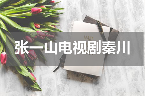 张一山电视剧秦川