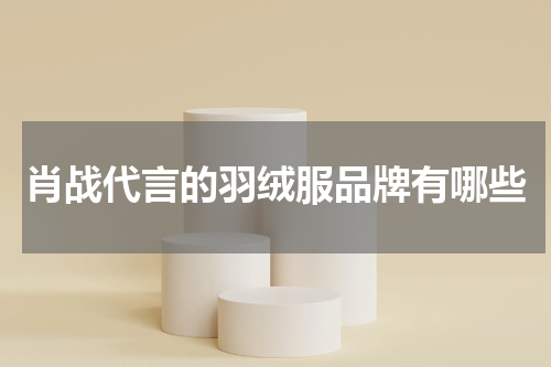 肖战代言的羽绒服品牌有哪些