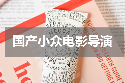 国产小众电影导演