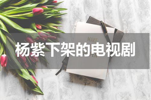 杨紫下架的电视剧