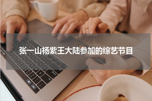 张一山杨紫王大陆参加的综艺节目