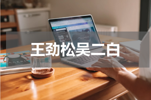 王劲松吴二白