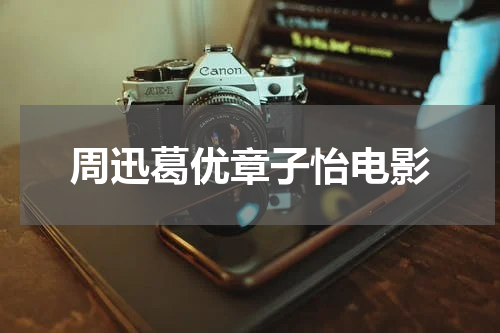 周迅葛优章子怡电影