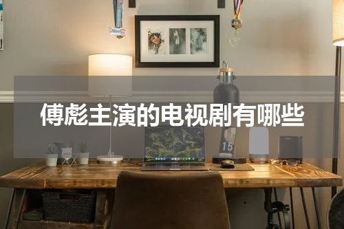 傅彪主演的电视剧有哪些