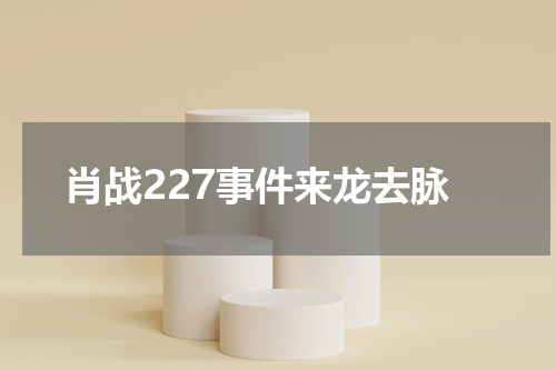 肖战227事件来龙去脉