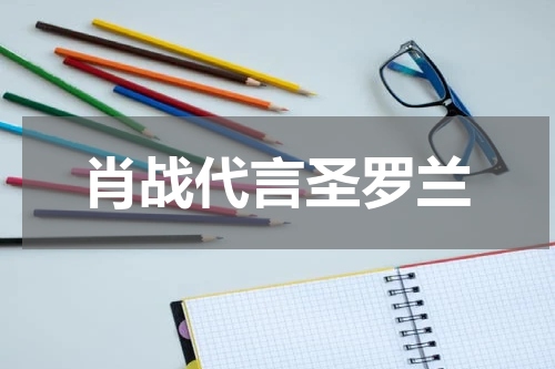 肖战代言圣罗兰