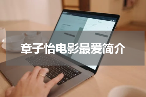 章子怡电影最爱简介