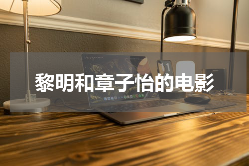 黎明和章子怡的电影