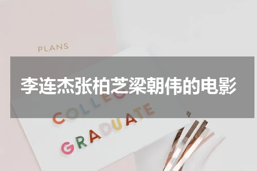 李连杰张柏芝梁朝伟的电影