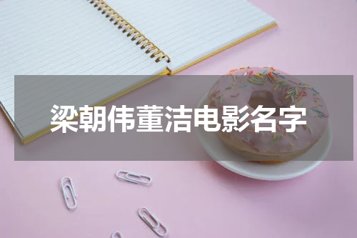 梁朝伟董洁电影名字