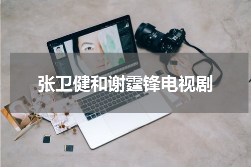张卫健和谢霆锋电视剧