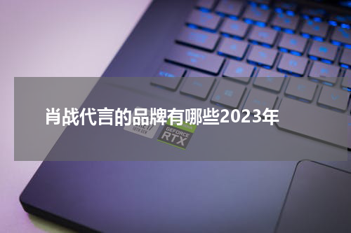 肖战代言的品牌有哪些2023年