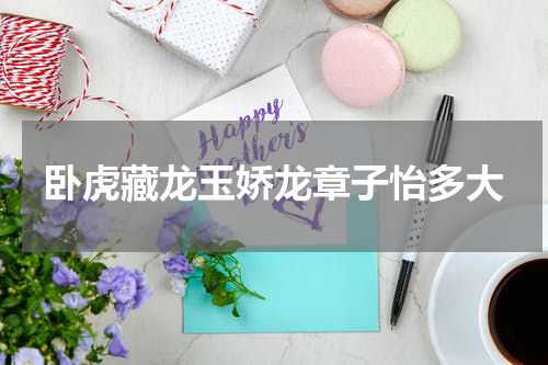 卧虎藏龙玉娇龙章子怡多大