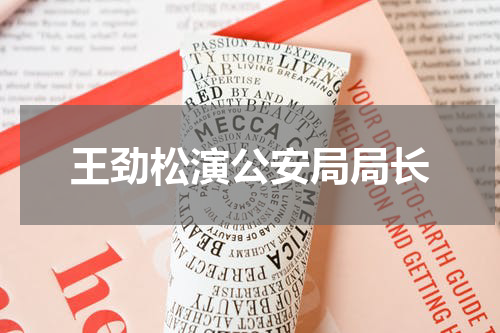 王劲松演公安局局长