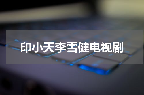 印小天李雪健电视剧