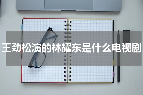 王劲松演的林耀东是什么电视剧