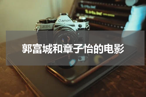 郭富城和章子怡的电影