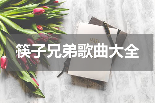 筷子兄弟歌曲大全