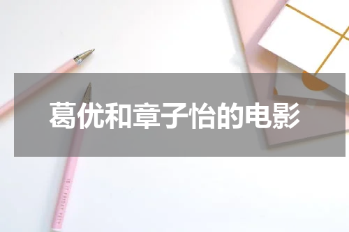 葛优和章子怡的电影