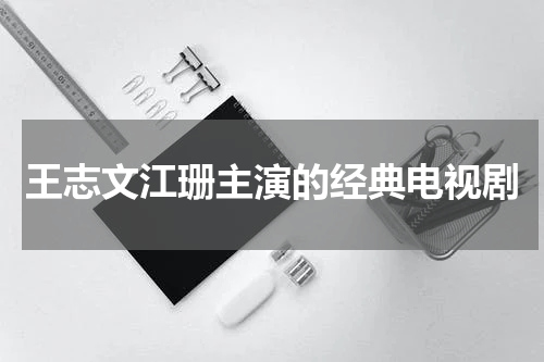 王志文江珊主演的经典电视剧