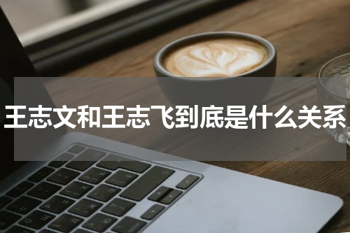 王志文和王志飞到底是什么关系