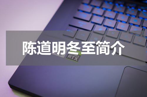 陈道明冬至简介