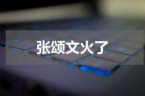 张颂文火了