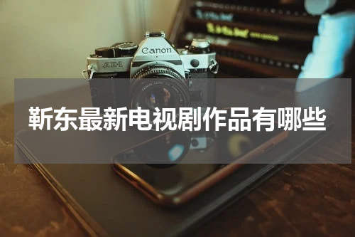 靳东最新电视剧作品有哪些