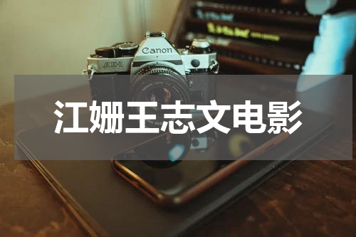 江姗王志文电影