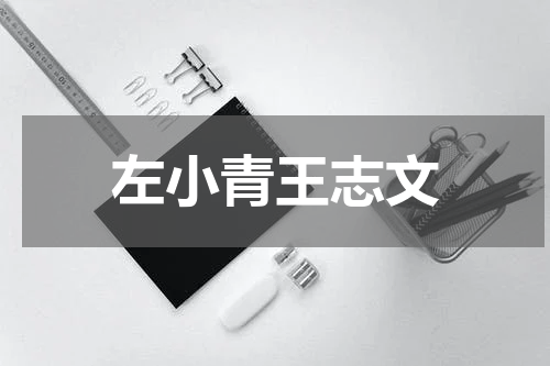 左小青王志文