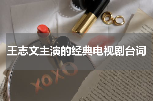 王志文主演的经典电视剧台词