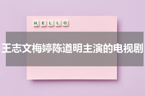 王志文梅婷陈道明主演的电视剧