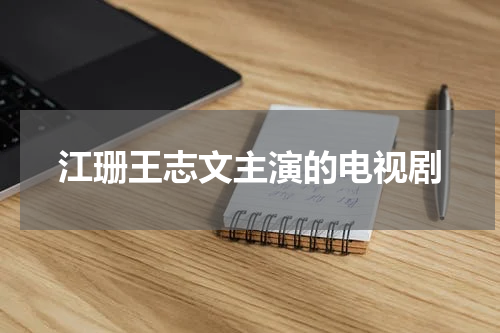 江珊王志文主演的电视剧