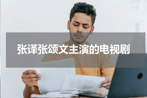 张译张颂文主演的电视剧