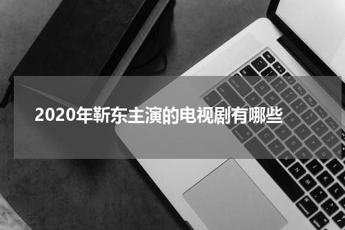 2020年靳东主演的电视剧有哪些