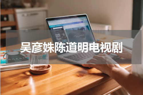 吴彦姝陈道明电视剧