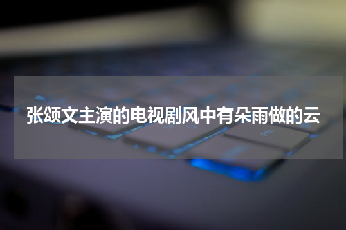 张颂文主演的电视剧风中有朵雨做的云