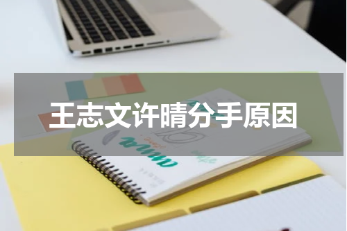 王志文许晴分手原因