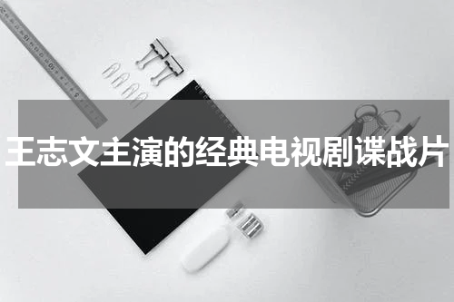 王志文主演的经典电视剧谍战片
