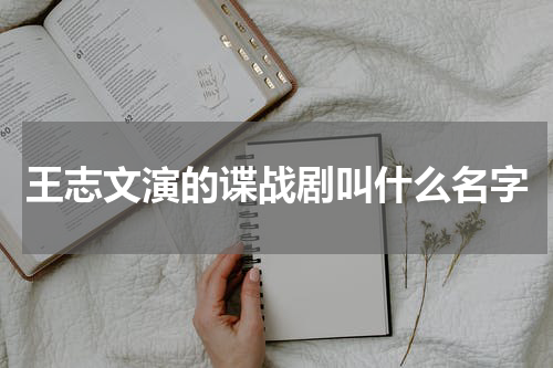 王志文演的谍战剧叫什么名字