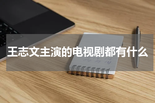 王志文主演的电视剧都有什么