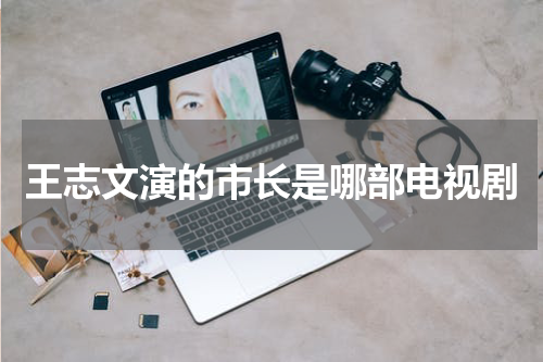 王志文演的市长是哪部电视剧