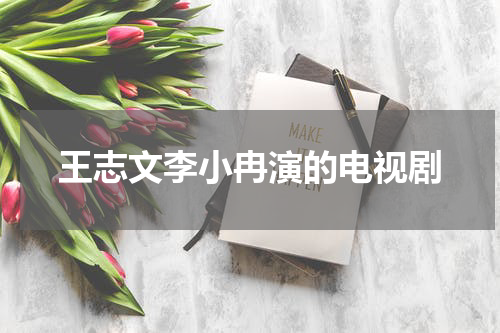 王志文李小冉演的电视剧