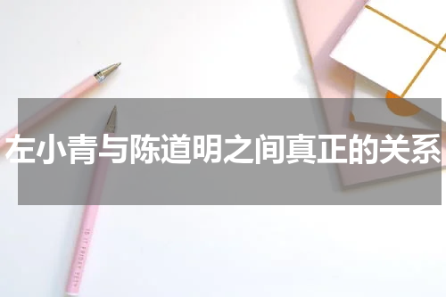 左小青与陈道明之间真正的关系