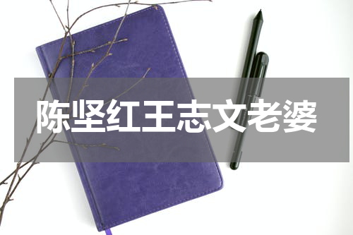 陈坚红王志文老婆