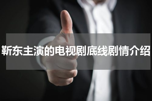 靳东主演的电视剧底线剧情介绍